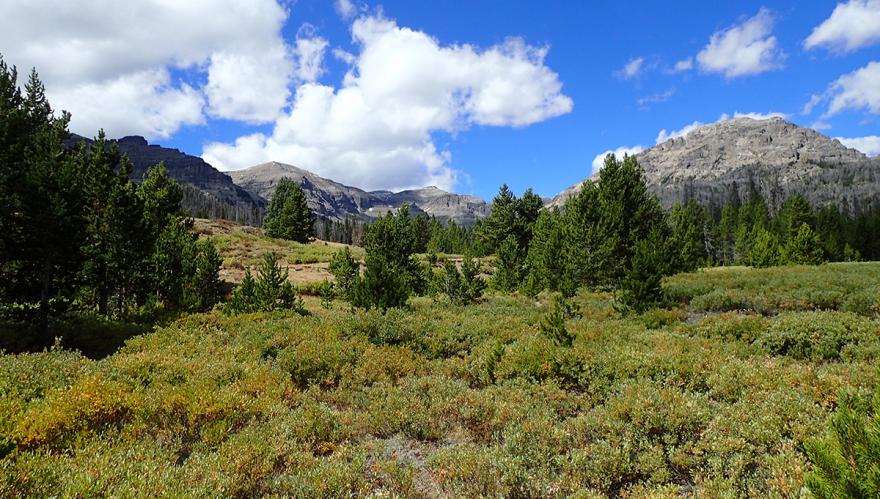 Photo of Shoshone National Forest by USFS
