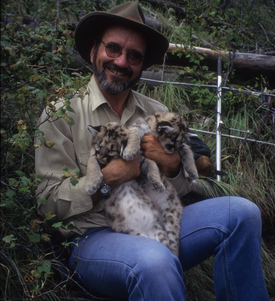 Photo of John Laundré holding two baby cougars
