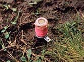 Photo of lethal M44 cyanide device