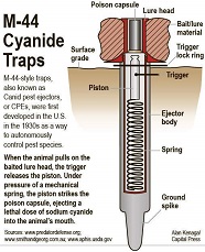 Diagram of M-44 cyanide device