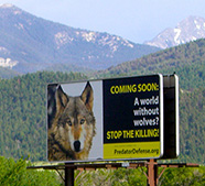 Photo of Yellowstone Park billboard